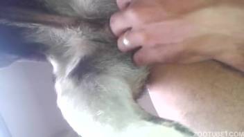 Hot doggy style session where a thick cock beautifully pounds a genuine guy's snug butt