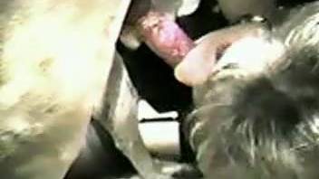 Older woman in nylons orally stimulating her animal's member