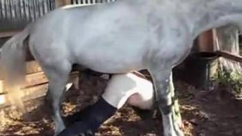 Stallion penetrates bare guy in complete anal beast play