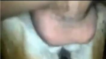 Bare guy savagely deep-thrusts into his canine