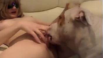 Periwig-adorned teen babe gets wrecked by a canine