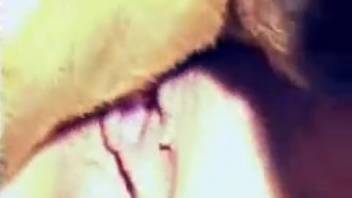 Loose vagina being pounded by a wild animal