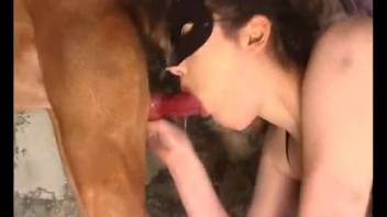 Hot women sucking enormous canine penises in animal sex porn