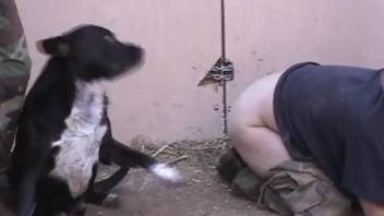 Military chick takes genuine canine penis in her snug orifices