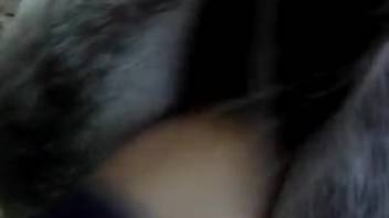 Thrilling footage of equine bestiality featuring a guy desperate for climax
