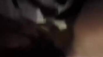 Curvy-assed Latin chick slammed hard by a hot canine