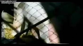 Vulgar confined whore being pounded by a lustful beast