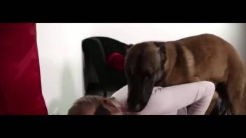 Chick in stockings getting screwed by a pooch