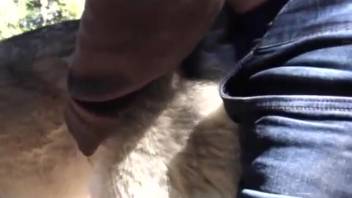 Guy aims for a hot beast's steamy slit