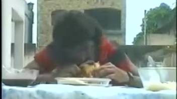 Vintage clip showcasing a notorious beast fucker