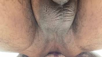 Bare guy experiences a rigid canine penis pounding his rear