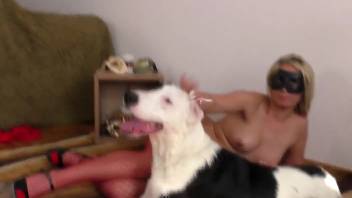 Sexy babe in fishnets getting banged by a dog