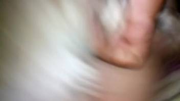 Flooded bestiality cunt craves wider stretching
