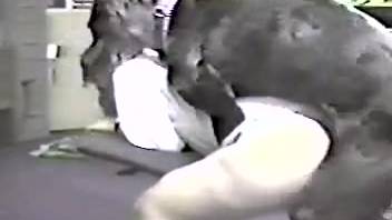 Slender woman pounded by the canine in classic bestiality footage