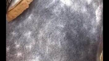 Innocent-faced blonde babe adores filthy animal sex insanely