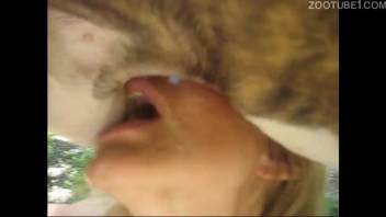 Older woman gets frenzied while performing oral on a canine's penis