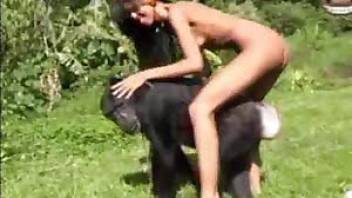 Monkey